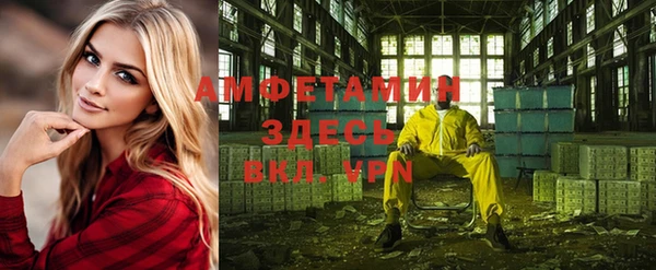 спиды Пересвет